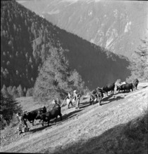 Alpine ascent in Valais, 1942
