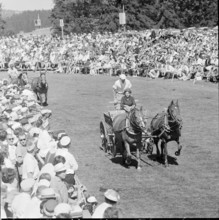 60th MarchéConcours Saignelégier, pair, 1963