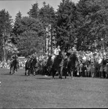 60th Marché Concours Saignelégier, 1963