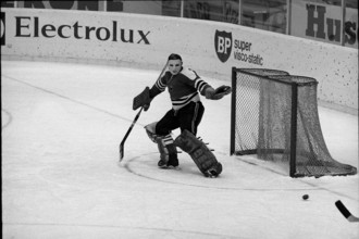 World Cup in Switzerland 1971: Germany  Sweden