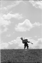 Field moulter at work, 1967