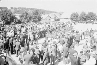 60th Marché Concours Saignelégier, 1963
