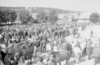 60th Marché Concours Saignelégier, 1963