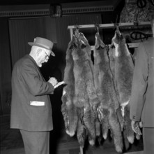Zurich, dealer inspects fox furs; 1964