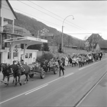 Fir tree transport in Hilterfingen, around 1950