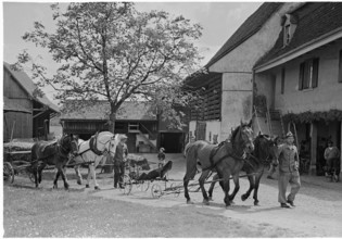 WWII: Swiss farmer on the French border, Basel 1945