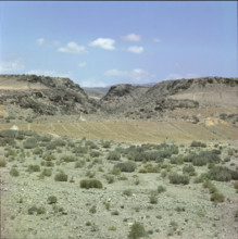 Volcanic landscape on Tenerife 1970