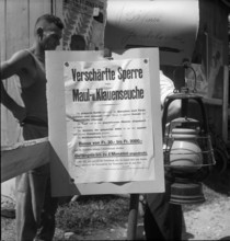 Warning sign for footandmouth disease, 1946