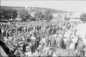 60th Marché-Concours Saignelégier, 1963