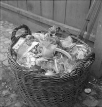 Basket full of used glass. 1942