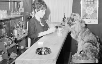 Schindellegi 1970: dog at a bar