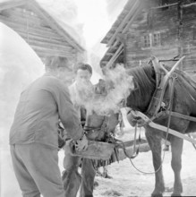 Bedretto valley, evacuation because of danger of avalanches 1951: preparation for the evacuation