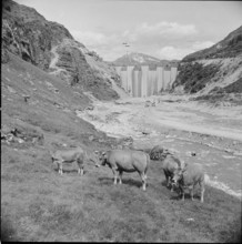 Zervreila building site 1956
