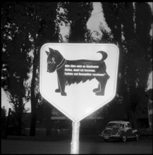 Roadblock due do foot-and-mouth disease, 1957