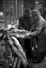 Fur market in Lucerne 1971
