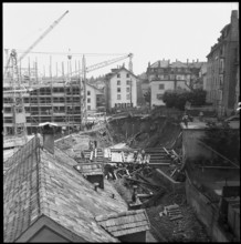 Landslide area Gurnigelwald, damaged wood. 1951