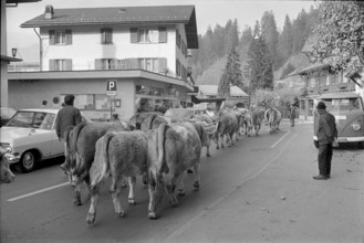 Gstaad, Restaurant Chesery. 1972