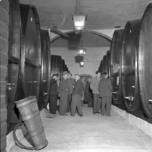 Mise des vins de la ville de Lausanne, wine auction: wine cellar, 1954
