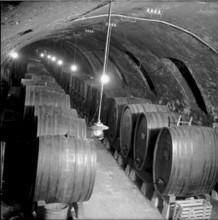 Mise des vins de la ville de Lausanne, wine auction: degustation, 1954