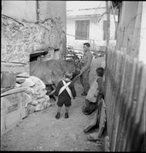 Woman doing laundry at fountain, 1946