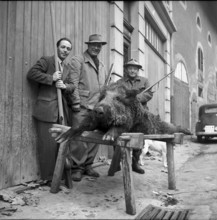 Catching whitefish at the Lake Constance, 1957