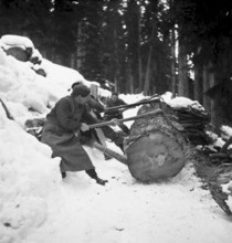 Cornfield in front of Hombrechtikon. 1946