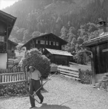 Autumnal hunting in Elgg, 1958