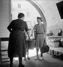 Gathering natural produce for Swiss donation, 1945