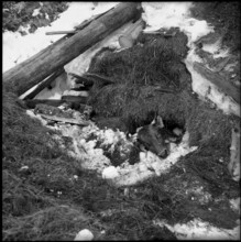 Avalanche in Vals, 1951