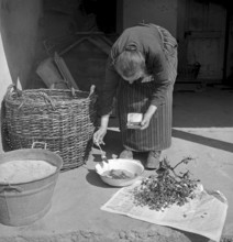 Drying tobacco leaves in the Vallée de la Broye, 1941