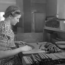Tobacco field in the Vallée de la Broye, 1941