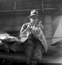 Tobacco blossom, Salavaux, 1942