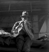 Producing cigars, 1952