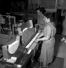 Cigarette factory Brunette, 1952