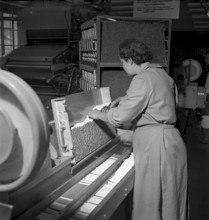 Cigarette factory Brunette, 1952