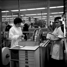 Cigarette factory Burrus, 1960