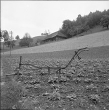 Muottas Muragl and Upper Engadine 1941
