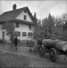 Half-timbered house Marthalen village green, 1968