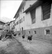 Fountain on the central square in Müstair, 1946