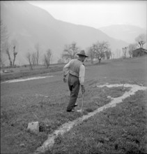 Muotathal, boy leading cows over a bridge, 1958