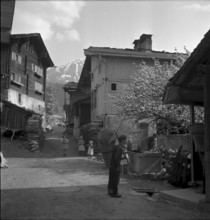 Olten 1953