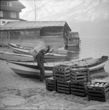 Quinten 1951