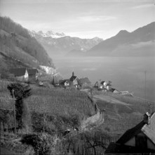 Restaurant Zum Schwanen in Ramsen SH 1946