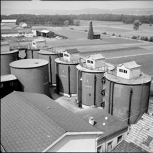 Rheineck SG, main street, 1951