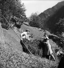 Agriculture