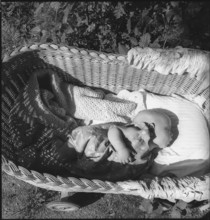 Refugee; Hungarian baby in a basket; 1945