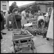 Woman with a cart at the flower market in Zurich 1958