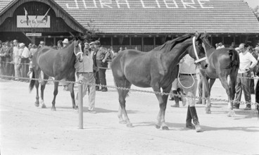 69th Marché Concours Saignelégier, 1972