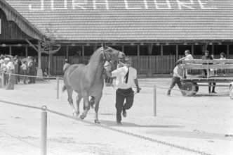 69th Marché Concours Saignelégier, 1972