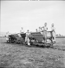 Peat mining in Seeland, Ins; 1942